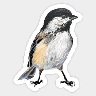 Chickadee 6 drawing (no background) Sticker